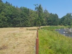 Ceiriog fencing