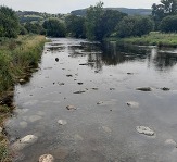 Bala Boulders